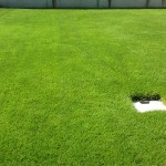 2012年の庭の芝生。芝生は平坦で濃い緑。手前に雨水枡。