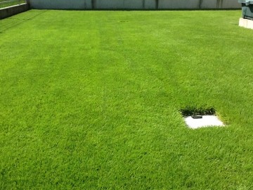 The yard lawn in 2012. The lawn is flat and in deep green. There is a rainwater pit in nearby.