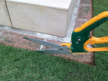 The grass shear cutting the edge of the lawn on the border against the bricks.