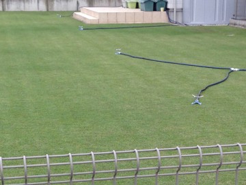 Four aligned blue sprinkler on green lawn.