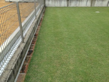 Bricks laid around the lawn. Inside the fence.