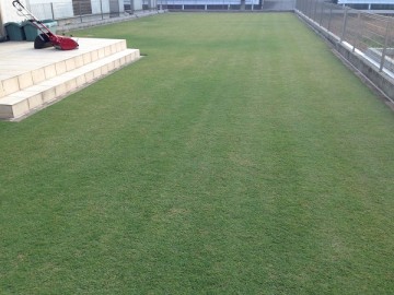 The lawn after mowing. A beautiful green. There is a red mower on the tile deck.