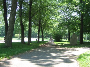 An avenue lined with trees in Angrignon Park in Montreal. Small figures in distance.