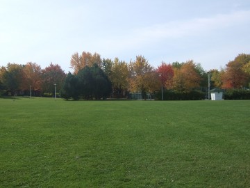 A park in Montreal. Green lawn and trees with autumn foliage in the park.