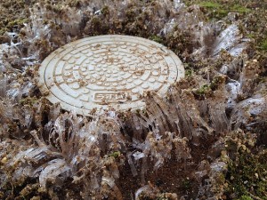 Needle ice formed around a rainwater pit in the corner of the yard.