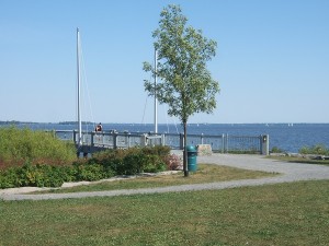 The scenery of Lakeshore Road. Right in front is Lake Saint-Louis. There is one tree in front of it.