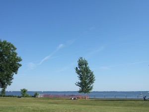 Blue sky, blue Lake Saint-Louis, and green lawn and a green tree.