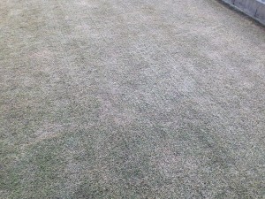 Lawn in the middle of vertical cutting. Closeup a little.