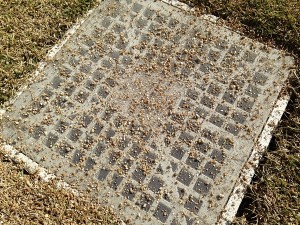 Topsoil on the cover of the rainwater pit.