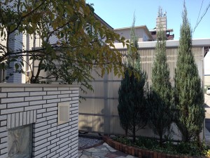 Conifers and ash in the entrance.