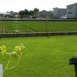 2012年の裏庭の芝生。手前にプランター。奥に水田。