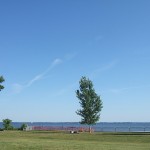 青い空、青いセントルイス湖、そして緑の芝生と1本の緑の樹。