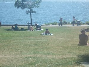 スタンレーパークのビーチと芝生。