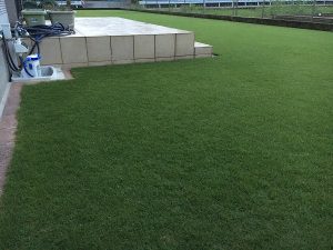 2016年8月27日の雨降り後の朝の芝生。少し低めの目線。