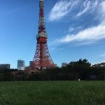 東京の芝公園の芝生広場の芝生。